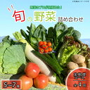 【ふるさと納税】 野菜 5~7品目 定期便 年4回 詰め合わせ セット 旬 新鮮 季節の野菜 なすび ブロッコリー キャベツ 白菜 レタス サニーレタス ほうれん草 きゅうり ピーマン とうもろこし トマト ミニトマト 大根 絹さや インゲン豆 玉ねぎ じゃがいも すだち 阿波市 徳島県