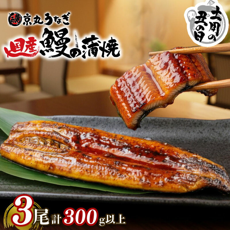 【ふるさと納税】 うなぎ 蒲焼 国産 3尾 計約300g以上 静岡 うなぎ処京丸 うなぎ 蒲焼き unagi 鰻 ウナギ 国産うなぎ 国産鰻 かば焼き 鰻蒲焼 うなぎ蒲焼き うな重 冷凍 土用 丑の日 人気 高級 個包装 小分け ギフト プレゼント おすすめ ランキング おいしい 贅沢 沼津