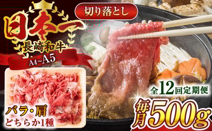 
                  【全12回定期便】長崎和牛切り落とし 500g 牛肉 肉 国産 切り落し  切りおとし きりおとし 切落とし 和牛 小分け 厳選 九州 焼肉 和牛 牛肉 和牛 国産 長崎和牛牛肉 長崎和牛肉 切り落とし牛肉 切り落とし長崎和牛 牛肉 牛肉 ぎゅうにく 定期便 牛肉 切り落とし 長崎県産 牛肉 定期便 牛肉定期便 肉定期便 / 長崎県 佐々町【株式会社 MEAT PLUS】 [QBS047]
                