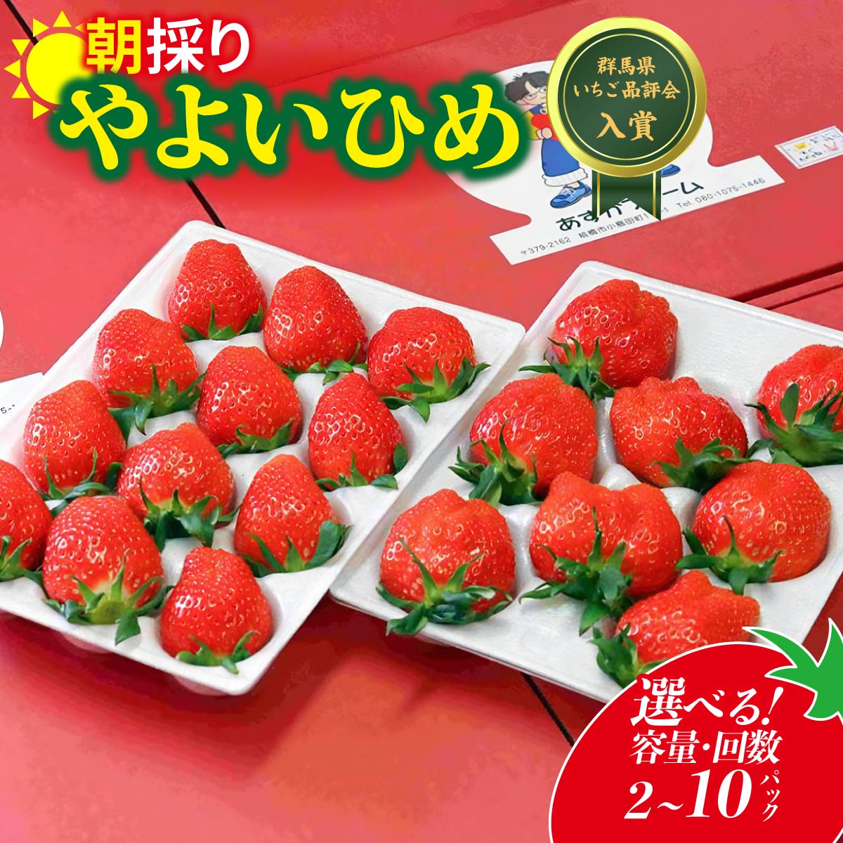 【ふるさと納税】いちご やよいひめ 800g/2.4kg/4kg/4ヶ月定期便 選べる容量 | イチゴ 定期便 苺 高品質 たっぷり 新鮮 完熟 旬 ストロベリー 高級 産地直送 果汁 甘い あまい 人気 高評価 高糖度 ごほうび プレゼント 群馬県 前橋市