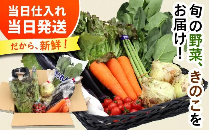 お試し 野菜セット 8品目 [SCZ027]