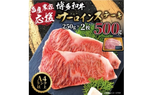 ＜A4～A5＞博多和牛サーロインステーキ＜厳選部位＞(250g×2枚)_ ステーキ サーロイン 肉 牛肉 国産牛 和牛 黒毛和牛 博多和牛 A4 A5 国産 産地直送 贈答 ギフト プレゼント プレミアム 冷凍 500g 【1168509】