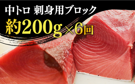 【全6回定期便】【ながさき水産業大賞受賞の新鮮なマグロを冷蔵でお届け！！】五島列島産 養殖 生本かみマグロ 中トロ 200g 【カミティバリュー】[RBP027]