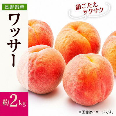 【ふるさと納税】【2027年発送】フルーツ王国　長野県信州直送　ワッサー　約2kg　【配送不可地域：離島】【1577369】