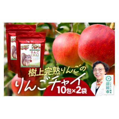ふるさと納税 沼田市 りんご茶(3g×10包) 2袋 タグひも付きティーバッグタイプ