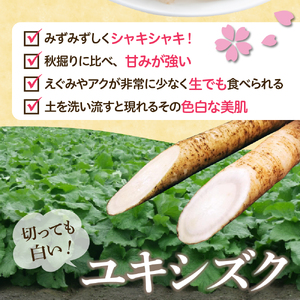 北海道十勝芽室町 なまら十勝野 芽室町産 春掘り美肌ごぼう【ユキシズク】L5㎏ 野菜 根菜 ゴボウ きんぴら 炊き込みご飯 お取り寄せ 送料無料 北海道 十勝 芽室町me001-035c