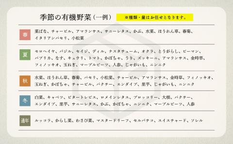 【有機JAS認定サラダ野菜】西田農園　季節の野菜詰合せ　6ヶ月定期便