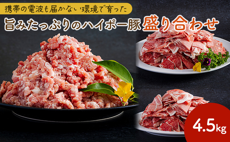 
            [№5681-0148]豚肉 阿武町産 豚肉 盛り合わせ 4.5kg | 携帯の電波も届かない環境で育った旨みたっぷりのハイポー豚 豚 肉 お肉 ※配送不可:離島
          