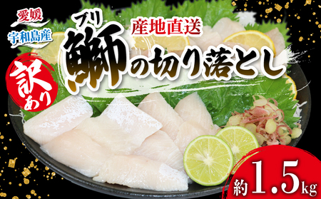 ＼10営業日以内発送／ブリ 訳あり 鰤 ぶり 切り落とし 計約 1.5kg （ 250g × 6 パック ） 南予ビージョイ 訳あり わけあり 鰤 ブリ ぶり buri 養殖 刺身 お刺身 漬け丼 茶漬け 鰤しゃぶ ぶりしゃぶ 冷凍 小分け 流水解凍 鮮魚 人気返礼品 大容量 国産 愛媛 宇和島ﾌﾞﾘﾌﾞﾘﾌﾞﾘﾌﾞﾘﾌﾞﾘﾌﾞﾘﾌﾞﾘﾌﾞﾘﾌﾞﾘﾌﾞﾘﾌﾞﾘﾌﾞﾘﾌﾞﾘﾌﾞﾘﾌﾞﾘﾌﾞﾘﾌﾞﾘﾌﾞﾘﾌﾞﾘﾌﾞﾘﾌﾞﾘﾌﾞﾘﾌﾞﾘﾌﾞﾘﾌﾞﾘﾌﾞﾘﾌﾞﾘﾌﾞﾘﾌﾞﾘﾌﾞﾘﾌﾞﾘﾌﾞﾘﾌﾞﾘﾌﾞﾘﾌﾞﾘﾌﾞﾘ