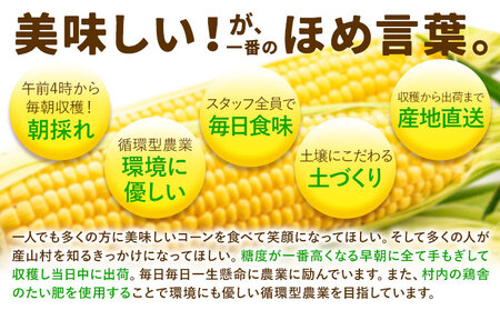 【ふるなびWEEK対象】とうもろこし 15本 城本農園