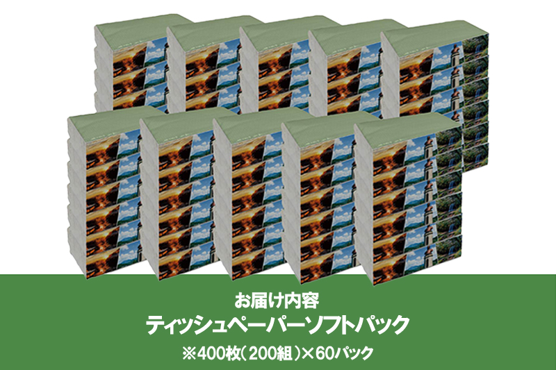 【令和8年4月～出荷】ティッシュペーパー ピュアパルプ ソフトパックティッシュ 60パック×400枚 200組 柔らか コンパクト 日用品 必需品 まとめ買い 常備品 備蓄 防災グッズ 熊本県 小国町