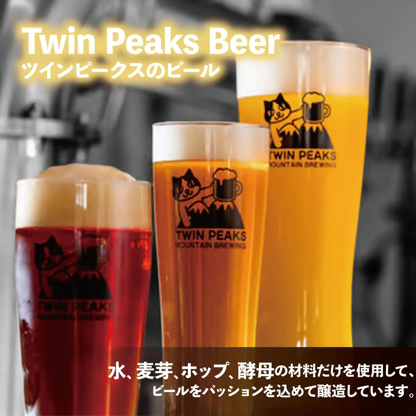 【6ヵ月定期便】クラフトビール おまかせ6本 ビール