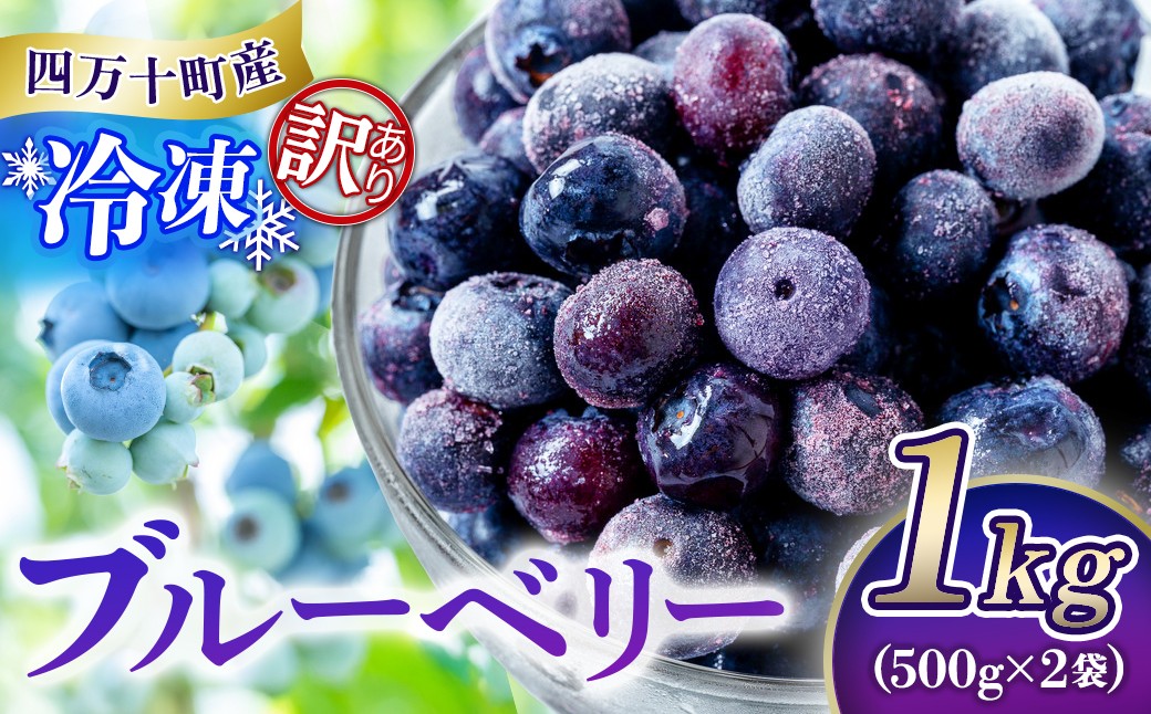 
                  【訳あり大容量】四万十町産 冷凍 ブルーベリー1kg（500g×2袋）Cvs-11 冷凍ブルーベリー フルーツ 果物 シャーベット感覚！
                