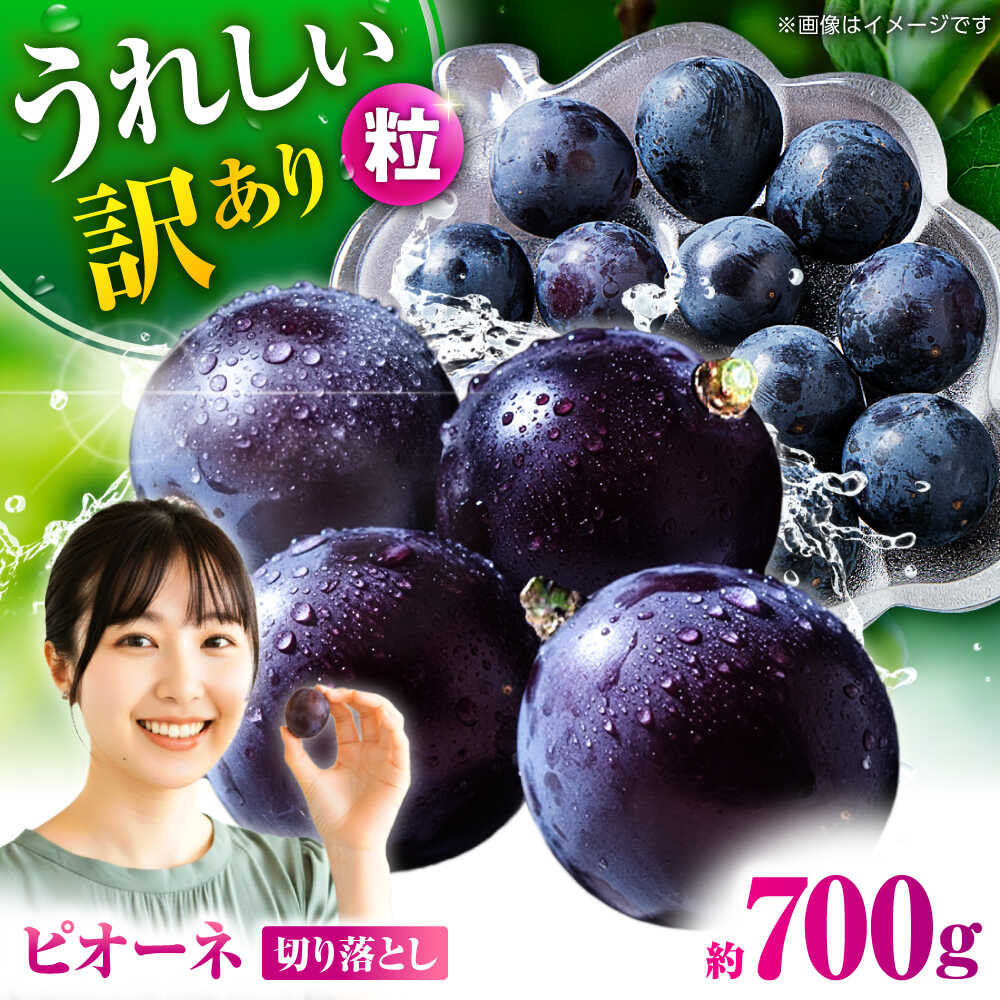 【ふるさと納税】【先行予約】 訳あり ピオーネ ぶどう 切り落とし 約700g 【合同会社 社方園】[ZBZ037]