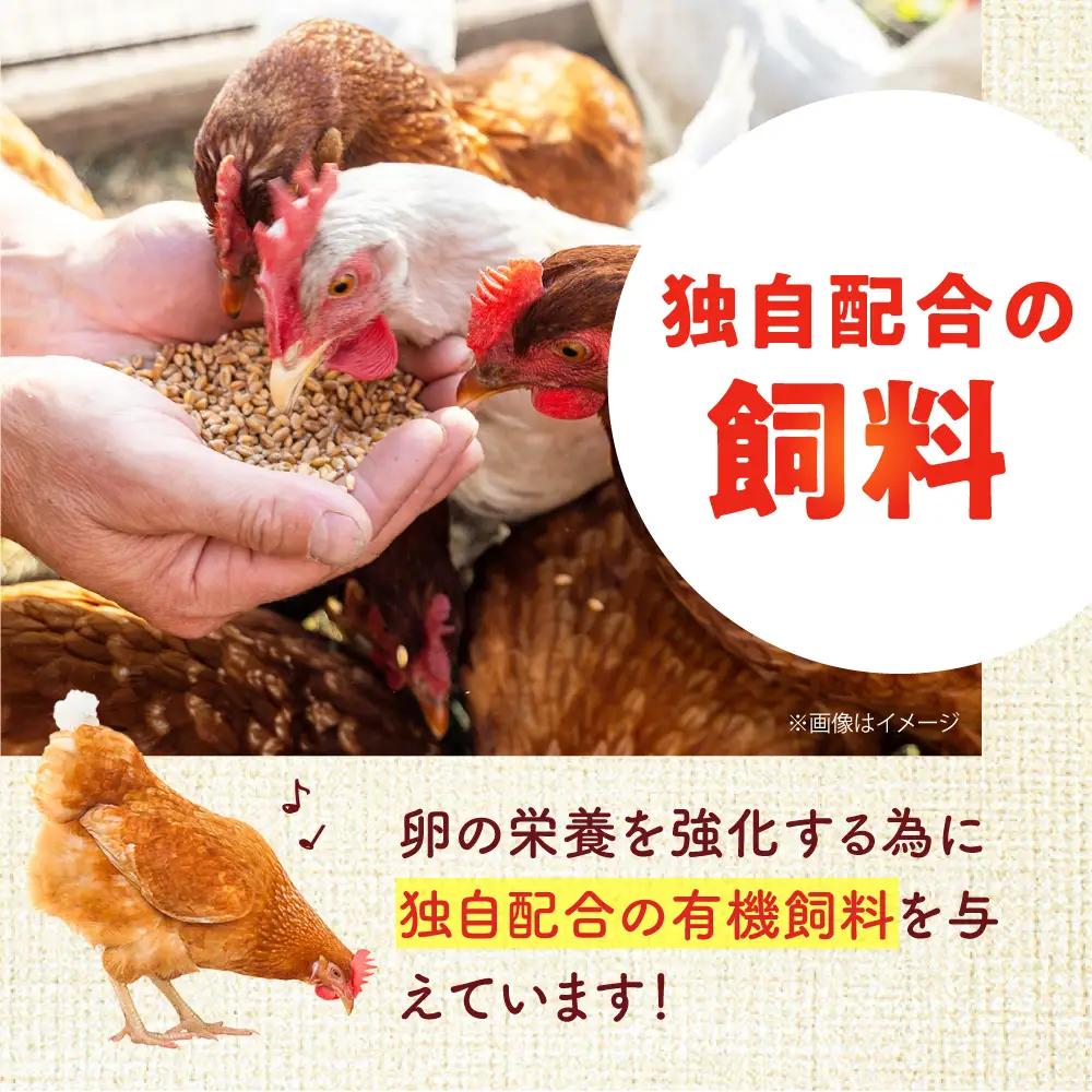 安田養鶏場の卵 しおさい 30個入り[AKHN001]卵