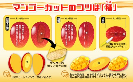 【化粧箱入】【先行受付・2026年発送】とうはらマンゴー園の美味しいマンゴー秀品 約2kg - 先行予約 沖縄 産地直送 南国フルーツ 旬の味覚 旬のフルーツ 贈り物 ギフト 沖縄県 八重瀬町