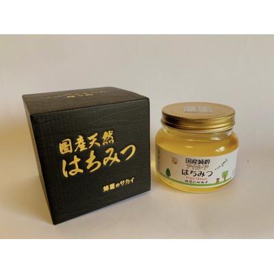 ふるさと納税 大牟田市 国産極上アカシア蜂蜜　500g入【化粧箱入】