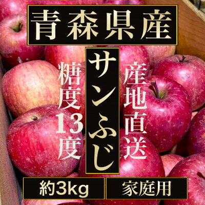 【ふるさと納税】【青森の誇り】青森直送サンふじりんご約3kg(家庭用/訳あり)【1729070】