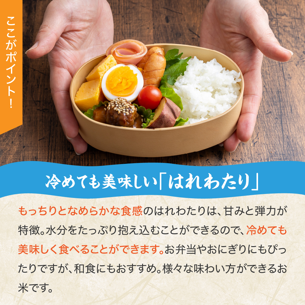 【令和7年 新米 先行受付】 青天の霹靂 と はれわたり 10kg (5kg×2) 2品種食べ比べ セット 青森県産 米 特別栽培米 【2025年11月より順次発送】