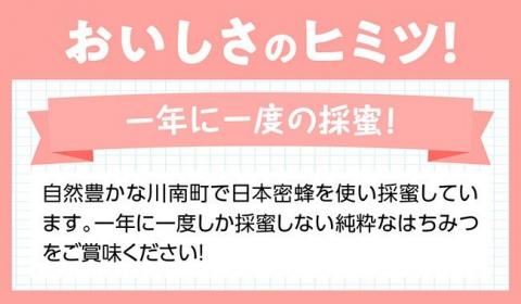 【数量限定】国産はちみつ（百花蜜）500g【蜂蜜 国産 九州産 宮崎県産 川南町産】[H5702]