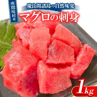 ふるさと納税 座間味村 慶良間諸島の自然味覚 座間味村産のマグロの刺身 1kg(2〜3柵)