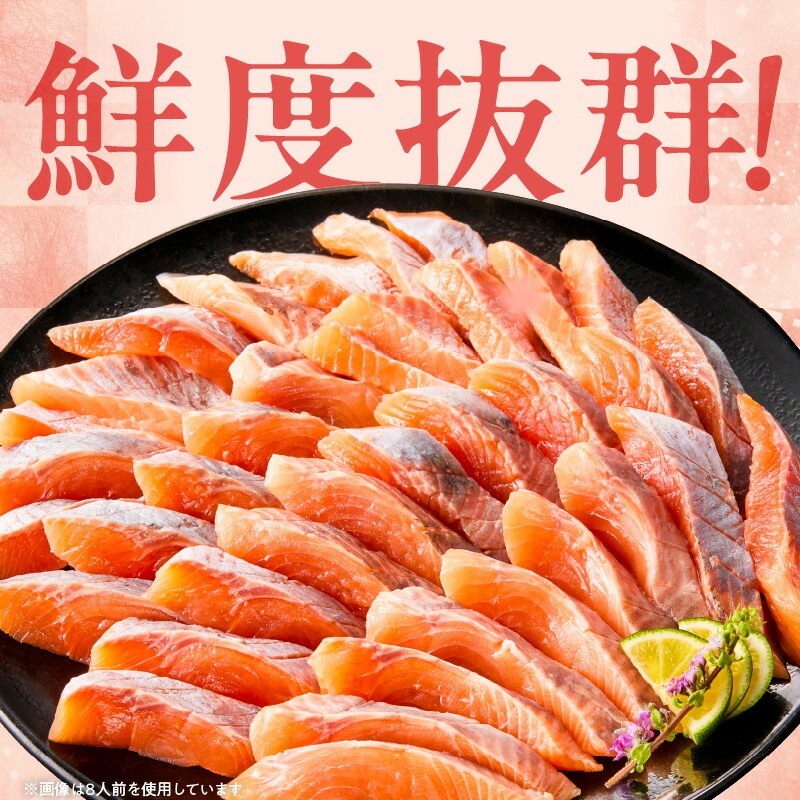 大和サーモン（サクラマス）のお造り 宮崎の美味を味わう8人前 N072-YB359