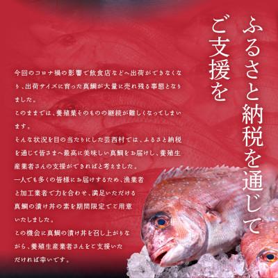 ふるさと納税 芸西村 高知の海鮮丼の素「真鯛の漬け」1食80g×5P+「マグロの漬け」1食80g×5P |  | 01
