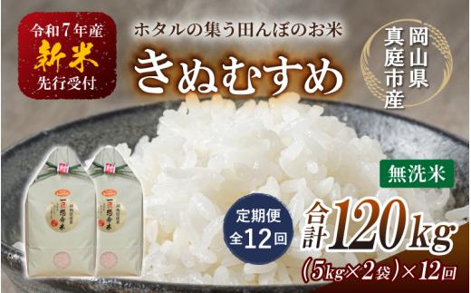 ＜定期便 全12回＞ 令和７年新米 真庭市産きぬむすめ　無洗米 10kg (5kg×2袋) ×12回 / お米 国産 岡山県 米 人気 ブランド 2025年産 【tkns-tkb024-cho】