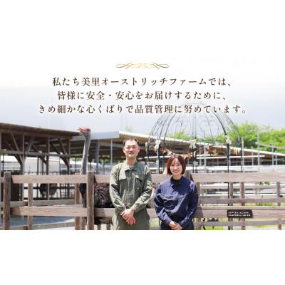 ふるさと納税 美里町 国産オーストリッチ外モモ肉　700g◆ダチョウ肉 |  | 03