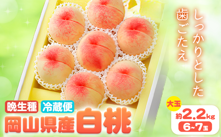【2026年先行予約】岡山県産 白桃 晩生種 大玉 約2.2kg 6-7玉 晴れの国 おかやま館 漂流岡山《2026年7月下旬-9月中旬頃出荷》岡山県 浅口市 フルーツ モモ 果物 青果 旬【配送不可地域あり】（離島）