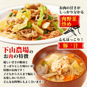 訳あり 豚肉 切り落とし 約 8.0 kg 【 切り落とし 】