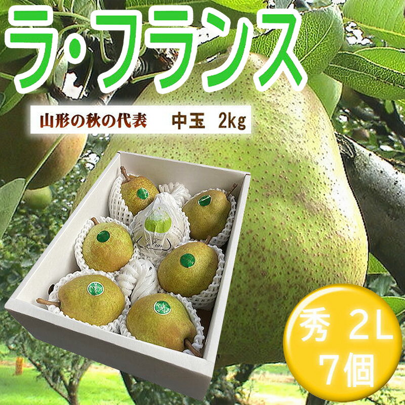 【ふるさと納税】山形特産ラフランス 特秀2L 7個 FY26-070