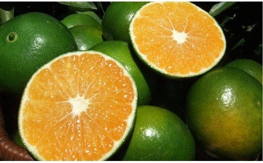 B-150 オーガニックみかん（極早生）約５ｋｇ