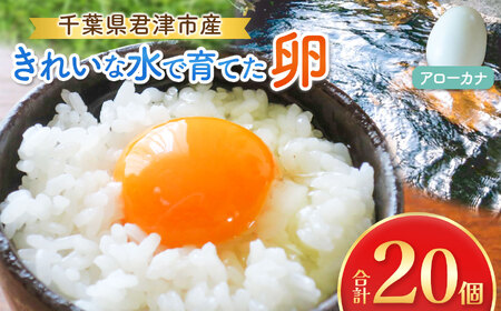 2週間以内に発送 きれいな水で育てた卵 アローカナ 20個  | 早く届く すぐ すぐ発送 保坂農場 あろーかな 卵 たまご 君津市産 千葉 君津 きみつ 房総 