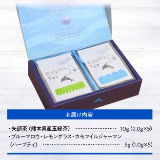 S103-001_イルカの形のティーバック　ブルーBOX