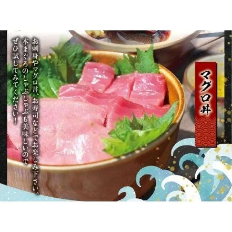 本マグロ（養殖）トロ＆赤身セット 500g 【1ヶ月以内に発送】 高級 クロマグロ  中トロ 中とろ  まぐろ マグロ 鮪 刺身 赤身 柵 じゃばらまぐろ 本マグロ 本鮪【nks110D】