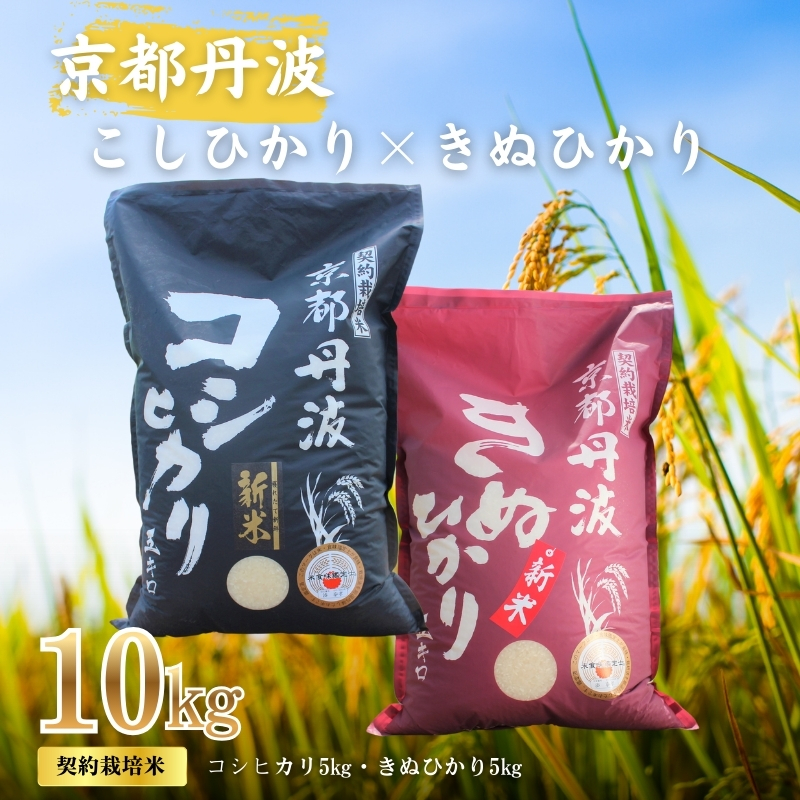 令和7年産 こしひかり きぬひかり 10kg (5kg×2) 食べ比べセット 詰め合わせ 米 白米 精米 お米 こめ コメ コシヒカリ キヌヒカリ 食べ比べ セット 令和7年 ご飯 ごはん 京都 京都府 南丹市
