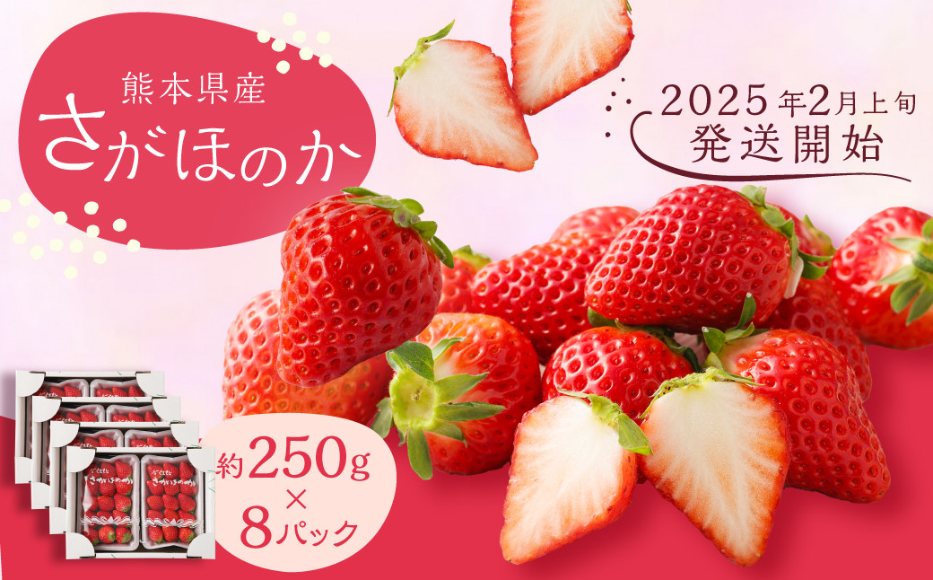 
熊本県産 さがほのか 約2kg いちご 苺 イチゴ 【2025年2月上旬発送開始】
