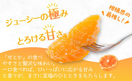 【2025年2月上旬より発送】柑橘界の大トロ！せとか　約3kg |フルーツ 旬 せとか 美味しい 新鮮 せとか フルーツ せとか フルーツ 人気 せとか フルーツ 厳選 せとか おすすめ せとか フル