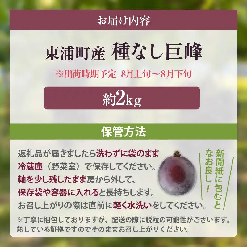 東浦町産 種なし巨峰・約2kg｜ぶどう フルーツ 東浦町