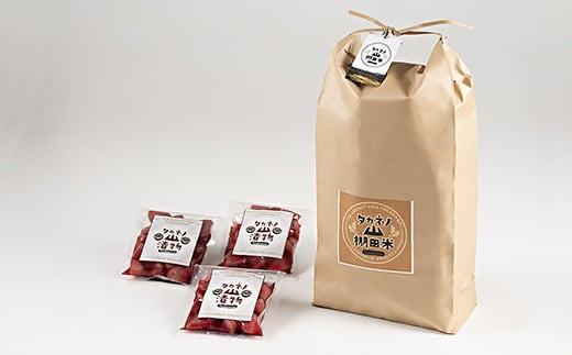 【期間限定・令和7年産米】新潟県岩船産 棚田米 コシヒカリ10kg・赤カブ漬け900gセット　C4018