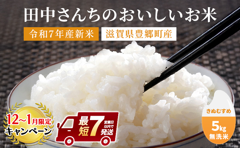 【12月～1月までの限定寄附額】 米 5kg きぬむすめ 田中さんちのおいしいお米 無洗米 CP1201