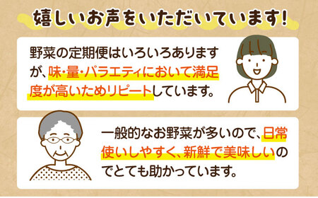 『頒布会』愛たい菜旬の野菜詰合せ　12か月定期便