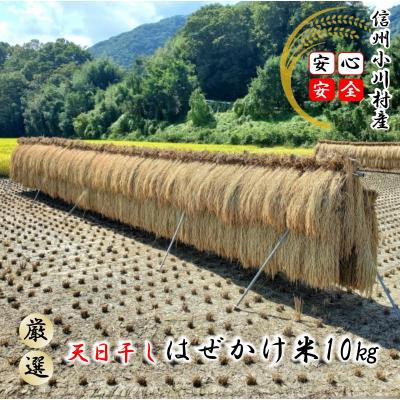 ふるさと納税 小川村 小川村自慢のはぜかけ米10キロ*401