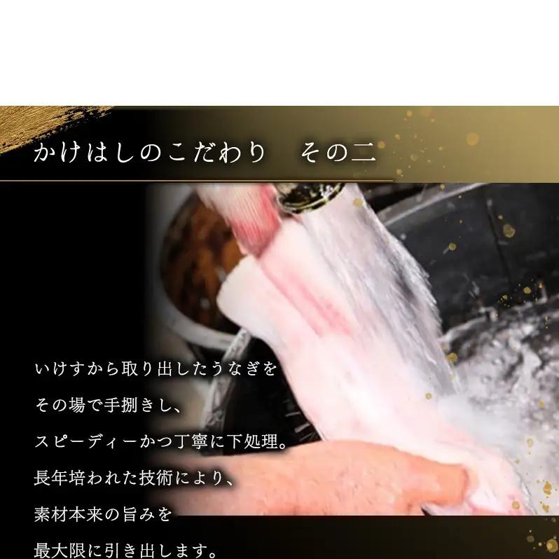 うなぎ 国産 手焼き蒲焼き タレ付き うなぎ【1尾 200〜300g】【冷凍】