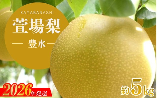 
                  No.3347 萱場梨 豊水 約5kg（10～16個）【2026年発送】
                