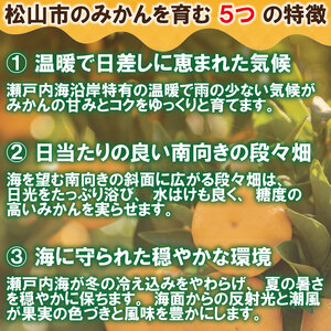 【みかん】訳あり 愛媛みかん 2kg | 愛媛県 松山市 【VEG105】