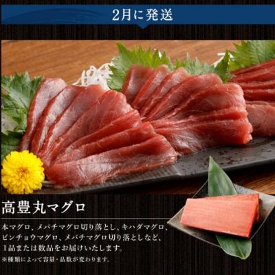 ふるさと納税 室戸市 【魚介定期便10回】 マグロ・ネギトロ・かつおのたたき・魚介類加工品などの海鮮セット定期便 訳あり |  | 01