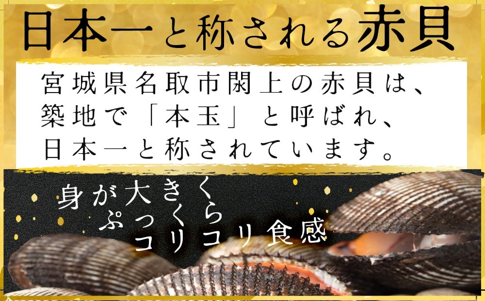
            【閖上赤貝】まるごと赤貝　１個入り
          