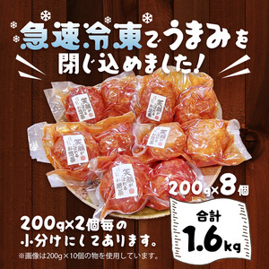 国産煮込みハンバーグ 1.6kg（200g×8個）ハンバーグ 国産 牛肉 ハンバーグ 京都 ハンバーグ ハンバーグ 国産 牛肉 ハンバーグ 京都 ハンバーグ ハンバーグ 京都 ハンバーグ 京都 ハンバ
